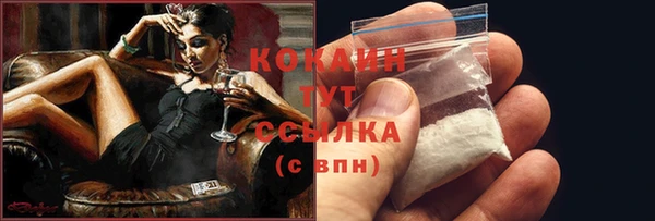 стаф Абаза