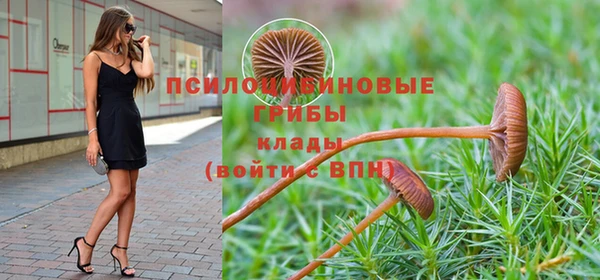 стаф Абаза