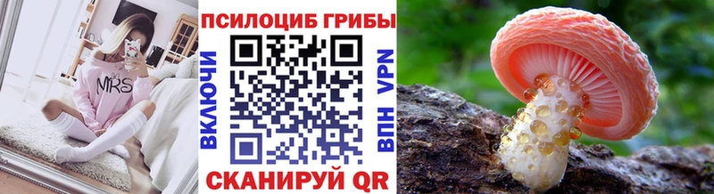 Псилоцибиновые грибы ЛСД  OMG ссылки  Ладушкин 